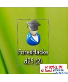 Forex Hacked v2.5对冲加码外汇EA下载