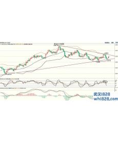 5.19黄金下行空间有限原油涨势无法延续下周走势策略