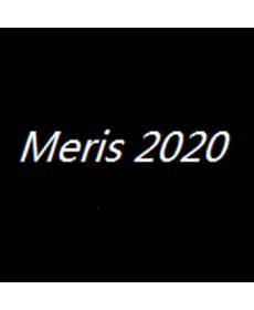 Meris 2020剥头皮外汇EA无限制版本