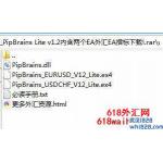 PipBrains Lite v1.2内含两个外汇EA下载