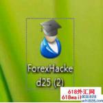 Forex Hacked v2.5对冲加码外汇EA下载