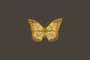 Gold Butterfly Scalper Pro黄金的趋势跟踪和反趋势的外汇EA下载