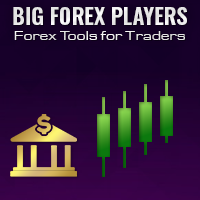 MT5-Big Forex Players MT5