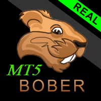 MT5-Bober Real MT5