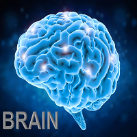 MT4-Brain