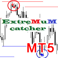 MT5-Extremum catcher MT5
