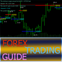 MT5-Forex trading guide