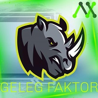 MT4-Geleg Faktor MT5