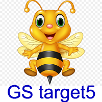 MT5-GS target5