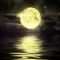 MT5-Quiet Moon MT5