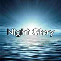 MT5-Night Glory