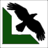 MT4-Night Raven Martin