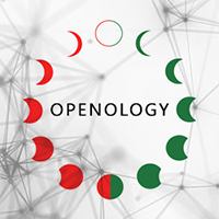 MT4-Openology