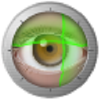 MT5-Price Info Panel