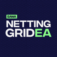 MT5-SAWA Netting Grid EA