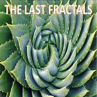 MT5-The Last Fractals MT5