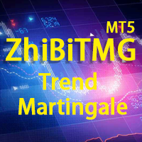 MT5-ZhiBiTMG MT5